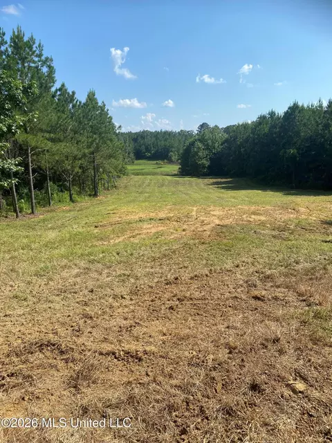 Co Rd 4005, Goodman, MS 39079 photo 8