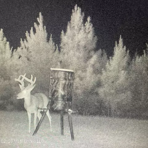 Co Rd 4005, Goodman, MS 39079 photo 28