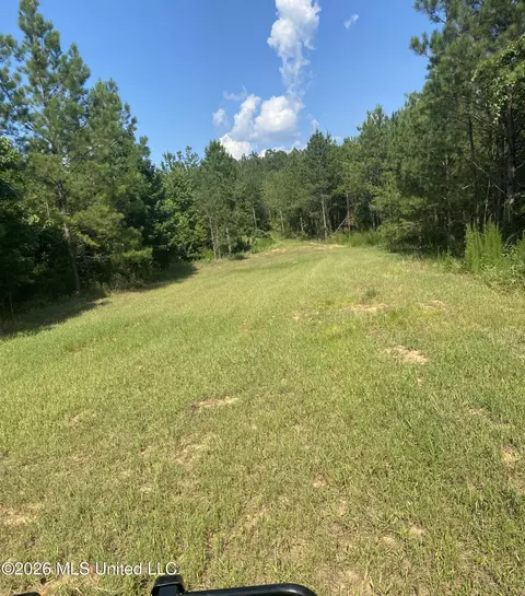 Co Rd 4005, Goodman, MS 39079 photo 11