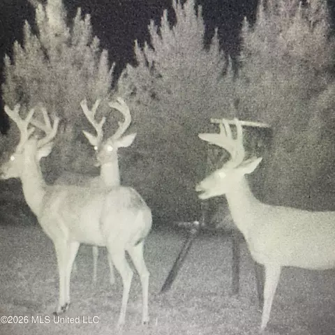 Co Rd 4005, Goodman, MS 39079 photo 29
