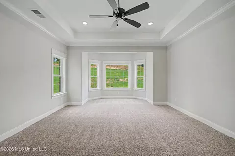 Other - 8130 Soaring Oaks Dr, Walls, MS 38680 photo 2 of 8
