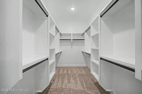 Other - 8130 Soaring Oaks Dr, Walls, MS 38680 photo 3 of 8