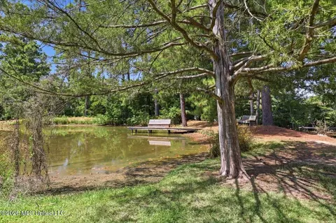 Other - 6430 Manship Rd, Brandon, MS 39047 photo 18 of 18