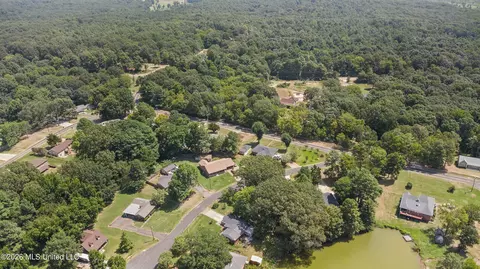View/Area - 401 Black Bear Cv, Hernando, MS 38632 photo 6 of 6