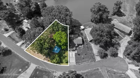View/Area - 401 Black Bear Cv, Hernando, MS 38632 photo 1 of 6