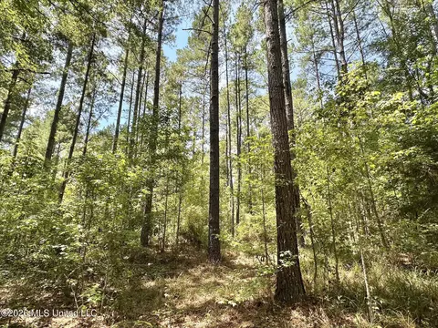 1 County Road 24, Enterprise, MS 39330 photo 9