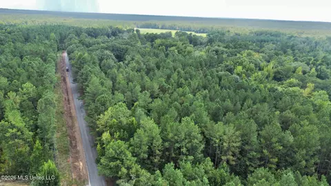 1 County Road 24, Enterprise, MS 39330 photo 10