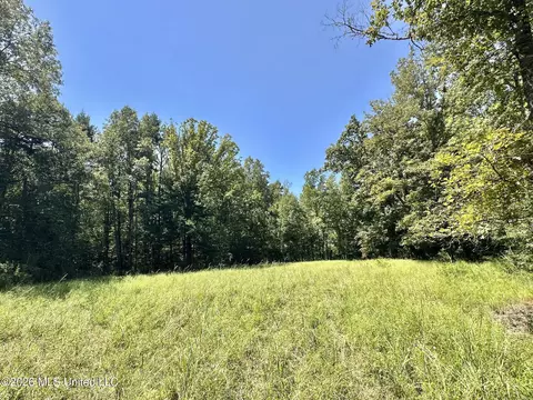 1 County Road 24, Enterprise, MS 39330 photo 2