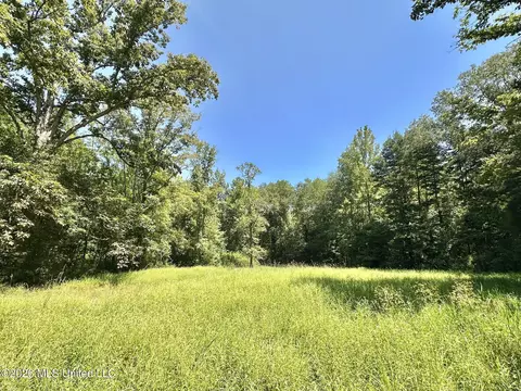 1 County Road 24, Enterprise, MS 39330 photo 3