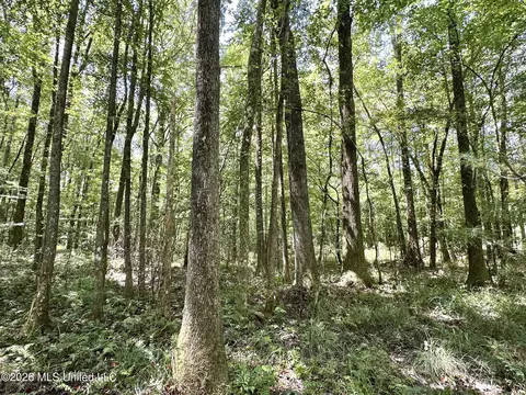 1 County Road 24, Enterprise, MS 39330