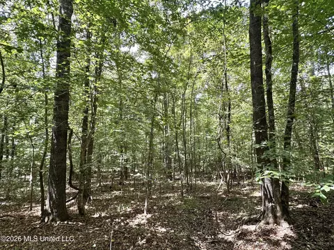 2 County Road 24, Enterprise, MS 39330 photo 13