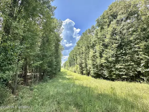 2 County Road 24, Enterprise, MS 39330 photo 9