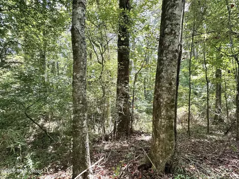 2 County Road 24, Enterprise, MS 39330 photo 5
