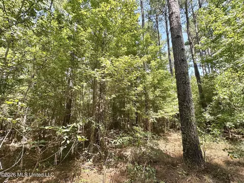 2 County Road 24, Enterprise, MS 39330 photo 2