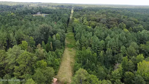 2 County Road 24, Enterprise, MS 39330 photo 19