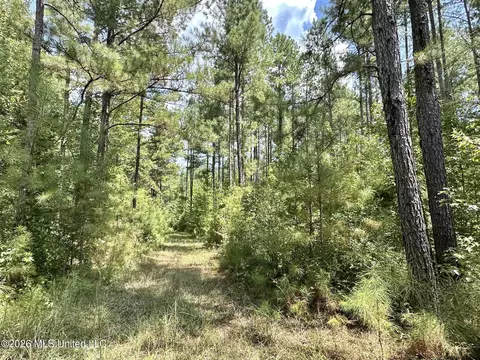 2 County Road 24, Enterprise, MS 39330 photo 12