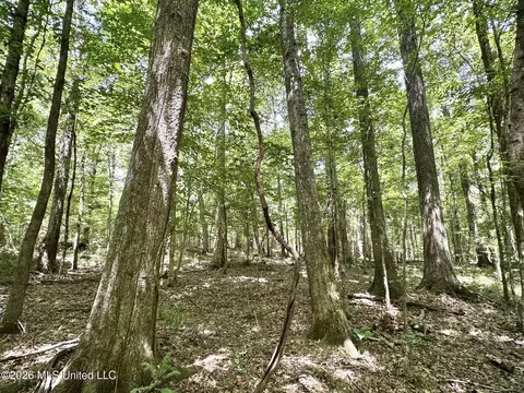 2 County Road 24, Enterprise, MS 39330 photo 8