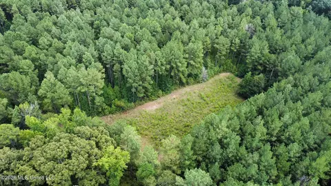 2 County Road 24, Enterprise, MS 39330 photo 20