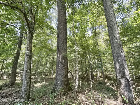 2 County Road 24, Enterprise, MS 39330 photo 7