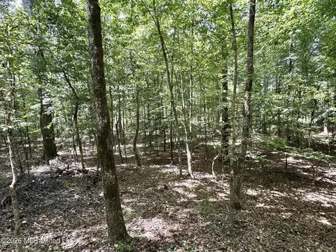 2 County Road 24, Enterprise, MS 39330 photo 15