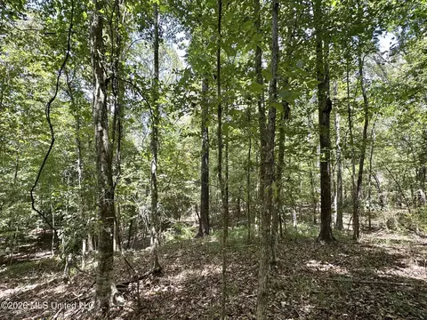 2 County Road 24, Enterprise, MS 39330 photo 14