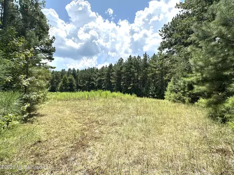 2 County Road 24, Enterprise, MS 39330 photo 11