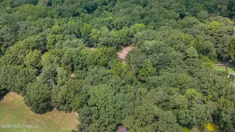 Other - 867 Green Acres Dr, Hernando, MS 38632 photo 12 of 12
