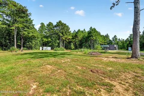 Exterior - 90 Boaz Pl, Picayune, MS 39466 photo 5 of 5