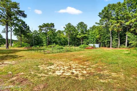 Exterior - 90 Boaz Pl, Picayune, MS 39466 photo 3 of 5