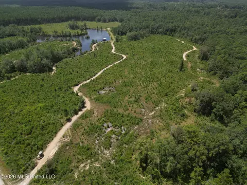 Indian Lane, Vancleave, MS 39565 photo 6