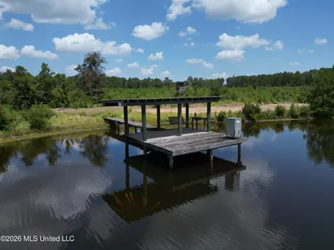 Indian Lane, Vancleave, MS 39565 photo 13