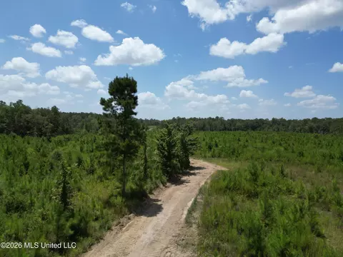 Indian Lane, Vancleave, MS 39565 photo 17