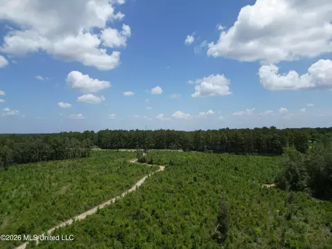 Indian Lane, Vancleave, MS 39565 photo 10