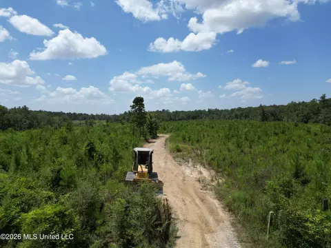 Indian Lane, Vancleave, MS 39565 photo 19