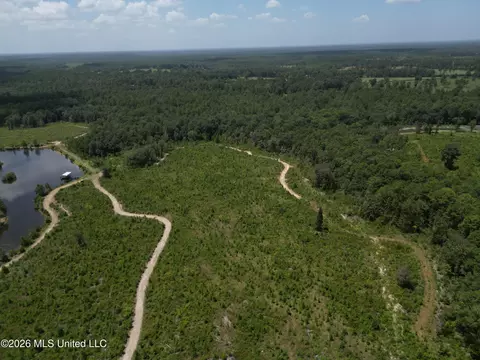 Indian Lane, Vancleave, MS 39565 photo 8
