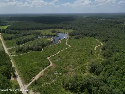 Indian Lane, Vancleave, MS 39565 photo 3
