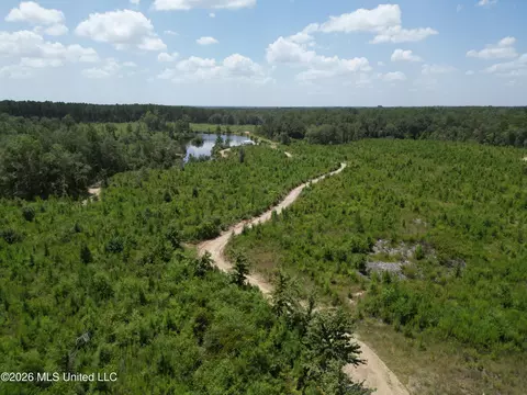Indian Lane, Vancleave, MS 39565 photo 16