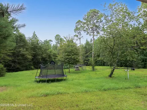 760 W Mchenry Rd, Mchenry, MS 39561 photo 22