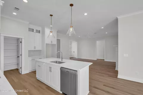Other - 118 Mission Park Dr, Madison, MS 39110 photo 4 of 11