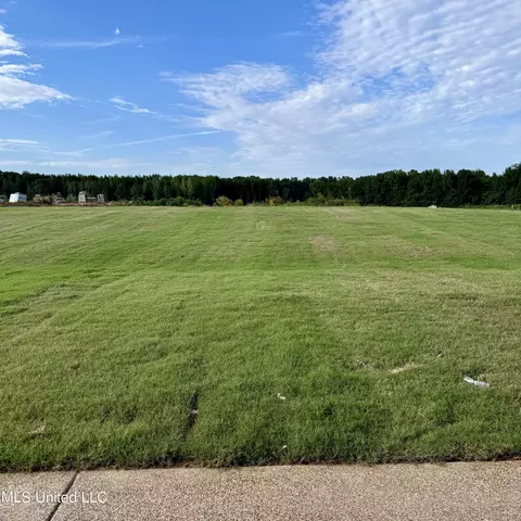 Other - 7650 Thomas Riley St, Hernando, MS 38632 photo 17 of 18