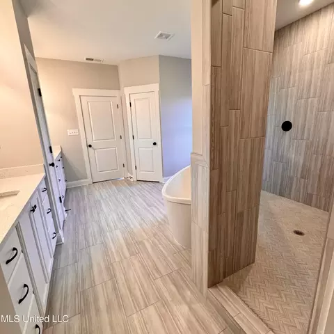 Bath - 7650 Thomas Riley St, Hernando, MS 38632 photo 6 of 9