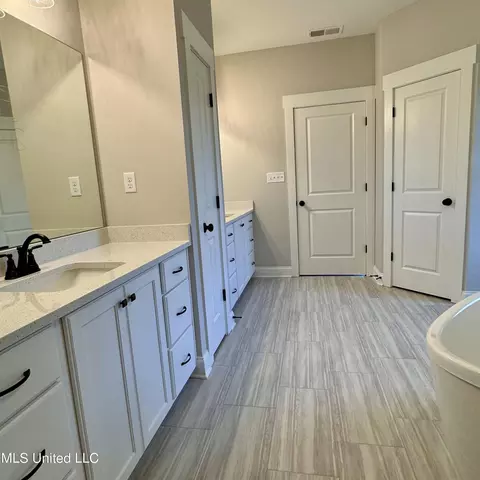 Bath - 7650 Thomas Riley St, Hernando, MS 38632 photo 4 of 9
