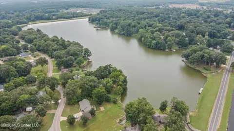 View/Area - 4730 Bienville Rd, Nesbit, MS 38651 photo 2 of 4