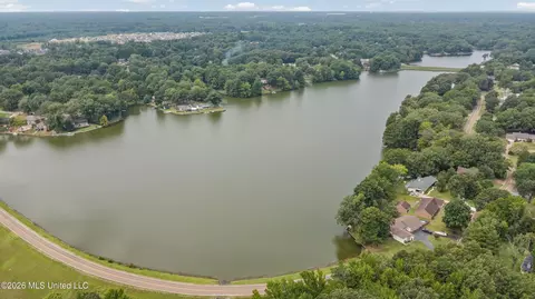 View/Area - 4730 Bienville Rd, Nesbit, MS 38651 photo 3 of 4