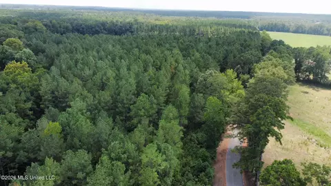 3 County Road 24, Enterprise, MS 39330 photo 9