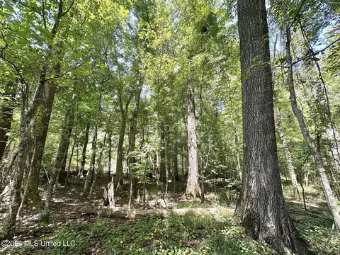 3 County Road 24, Enterprise, MS 39330 photo 5
