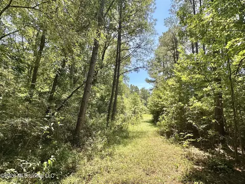 3 County Road 24, Enterprise, MS 39330 photo 3