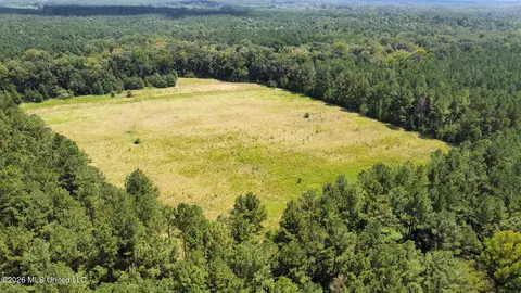 4 County Road 24, Enterprise, MS 39330 photo 11