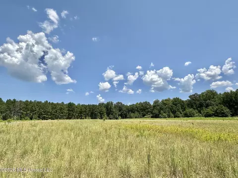 4 County Road 24, Enterprise, MS 39330 photo 3