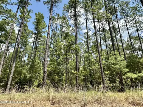 4 County Road 24, Enterprise, MS 39330 photo 7
